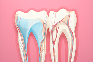 牙齿结构医疗齿科素材