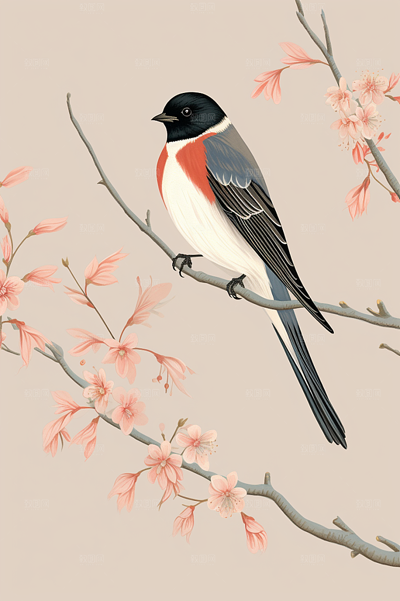 燕子国画春季插画
