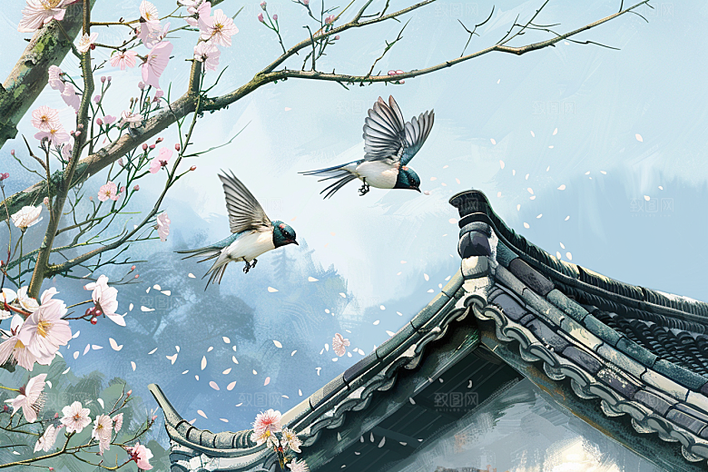 燕子谷雨春天插画