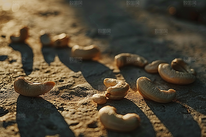 腰果干果美味摄影图