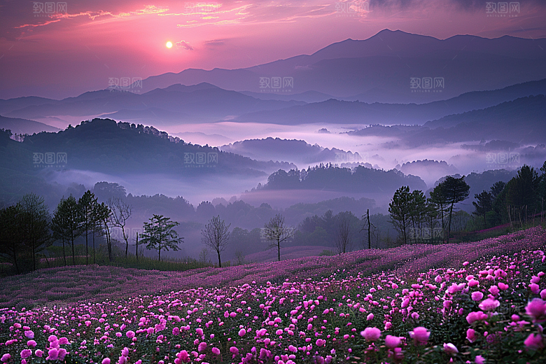 月季花植物花卉素材