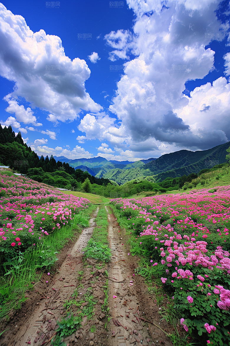 月季花彩色藤月素材