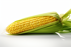 玉米丰收植物收获摄影图