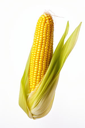 玉米丰收农田粮食摄影图