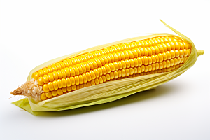 玉米丰收食材收获摄影图