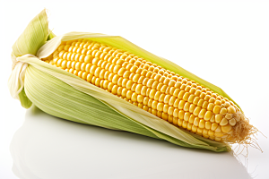 玉米丰收农田特写摄影图