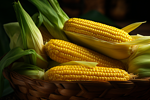 玉米丰收特写收获摄影图
