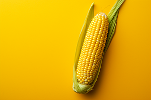 玉米丰收食材植物摄影图