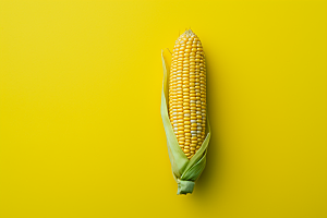 玉米丰收粮食特写摄影图