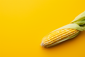 玉米丰收粮食收获摄影图