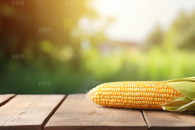 玉米丰收苞米粮食摄影图