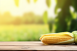 玉米丰收粮食农业摄影图