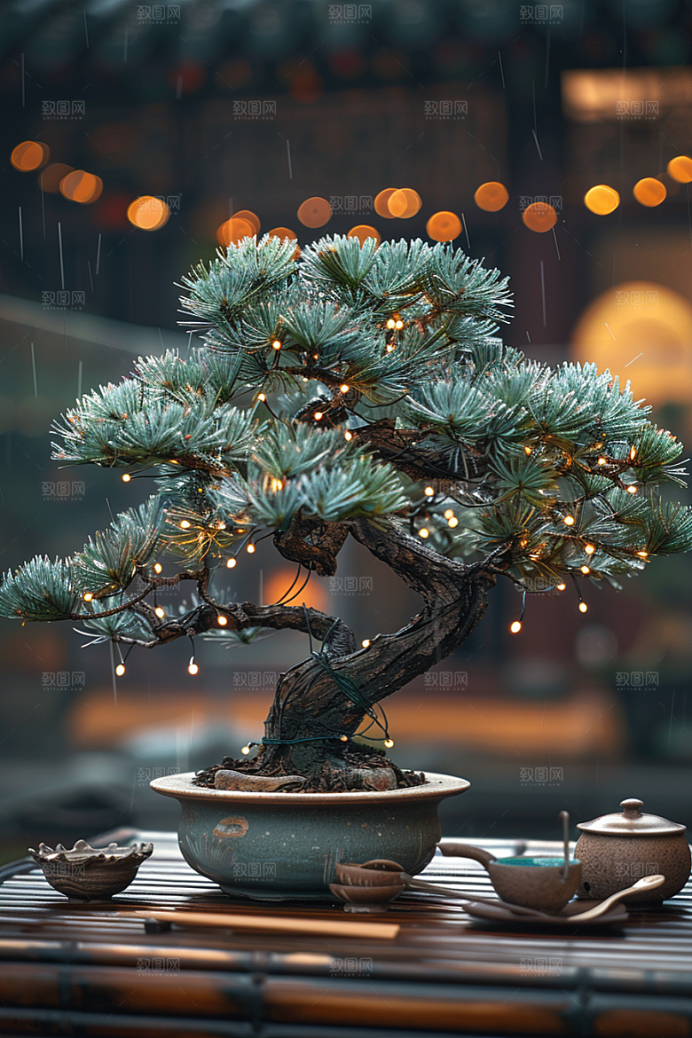 黑松盆景高雅装饰摄影图