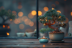 黑松盆景装饰中式摄影图