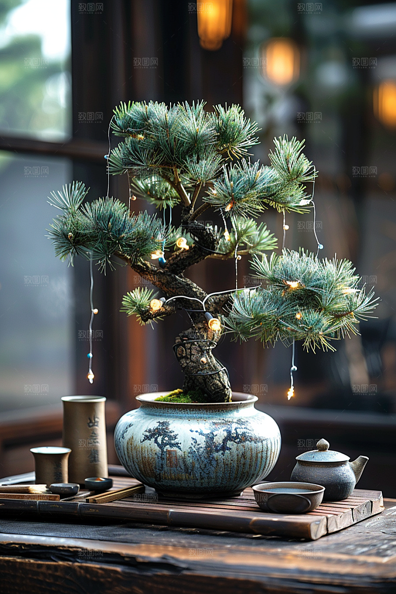 黑松盆景植物雅致摄影图