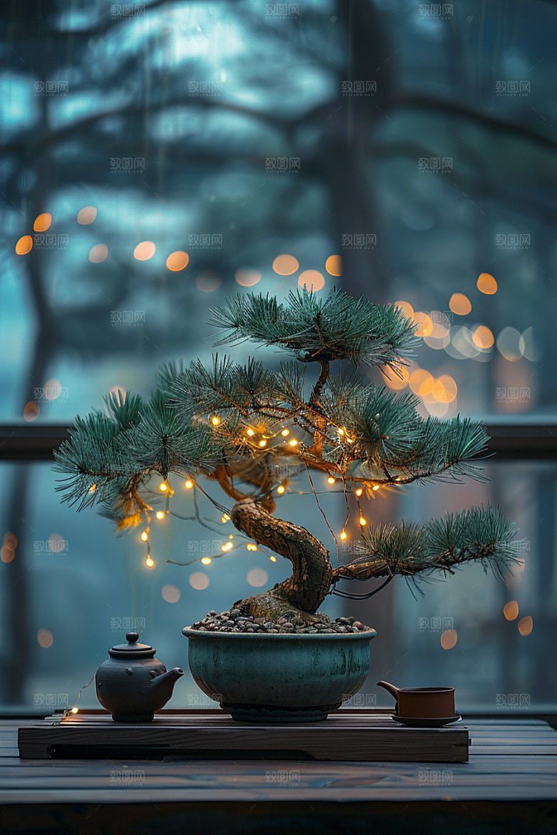 黑松盆景装饰自然摄影图