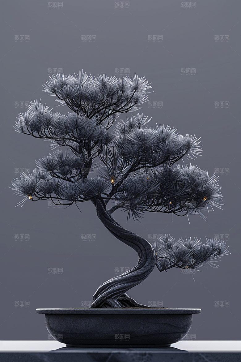 黑松盆景高清自然摄影图