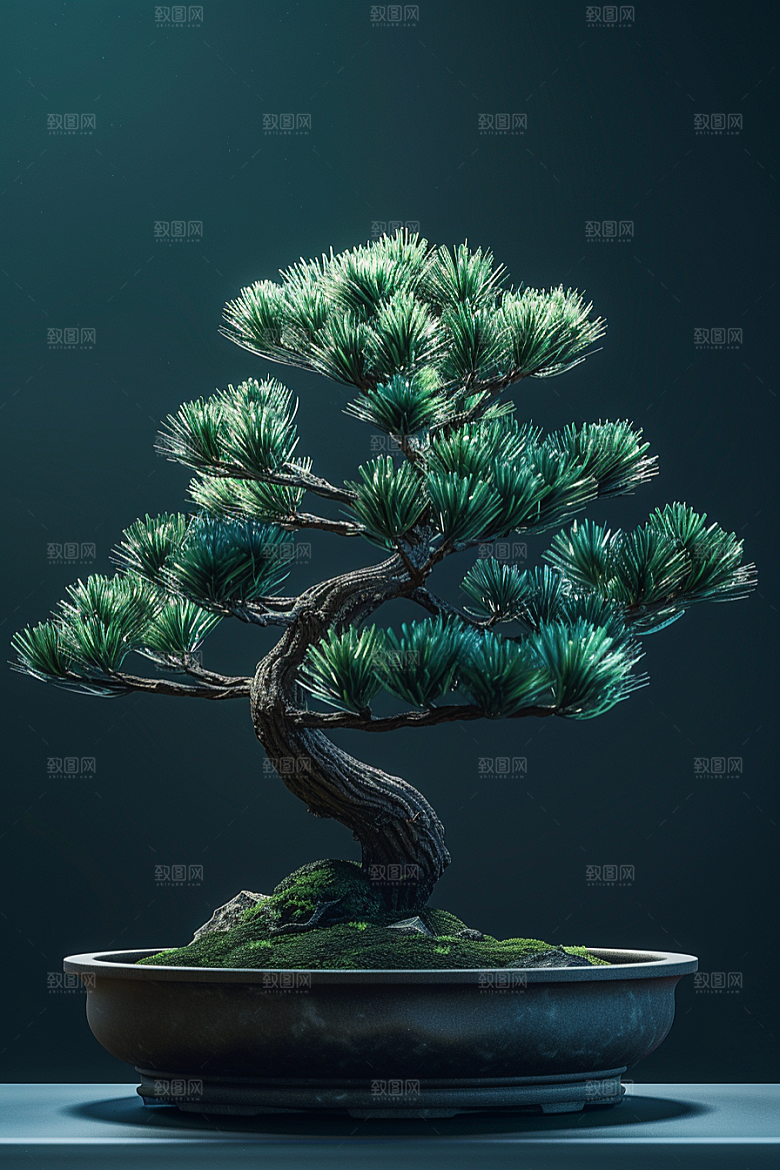 黑松盆景植物松树摄影图
