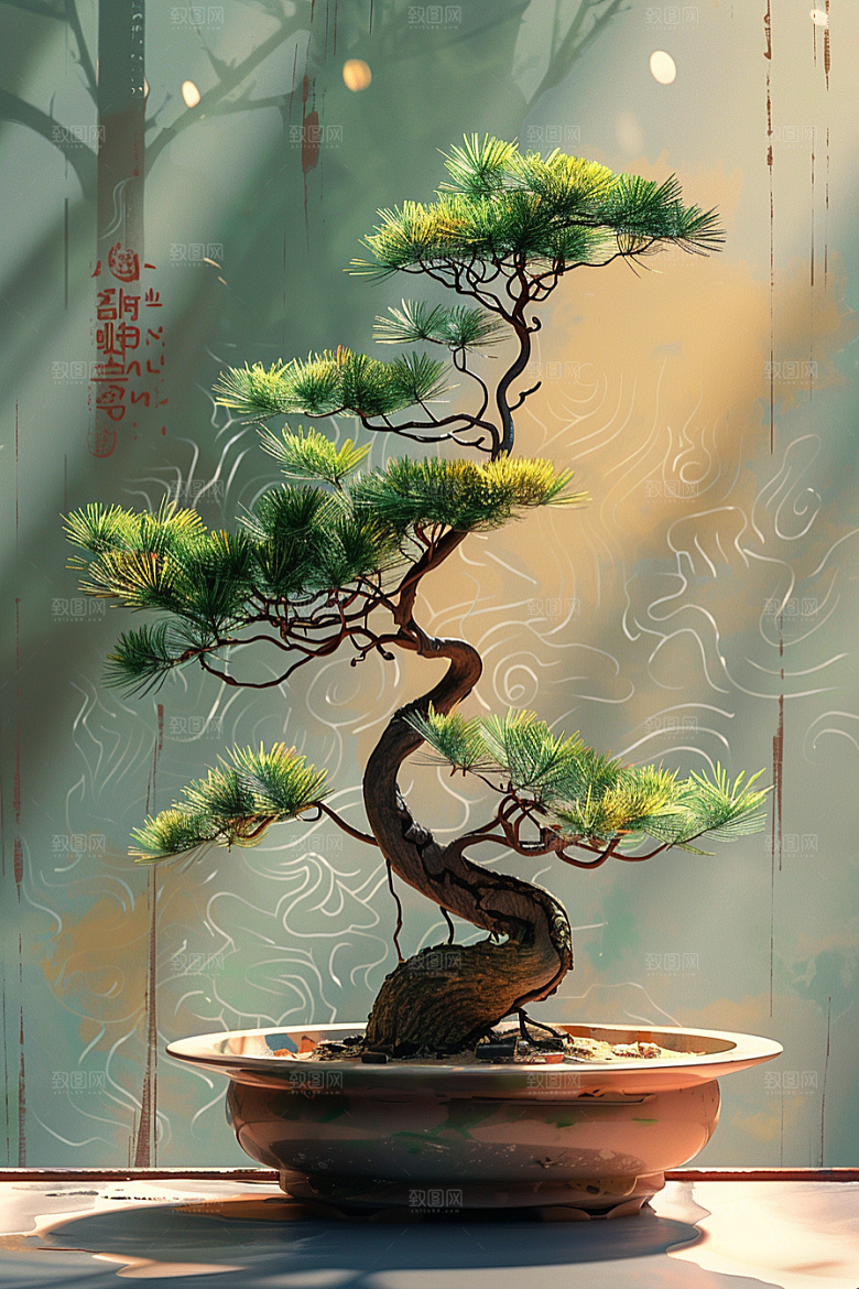 黑松盆景高雅中式摄影图