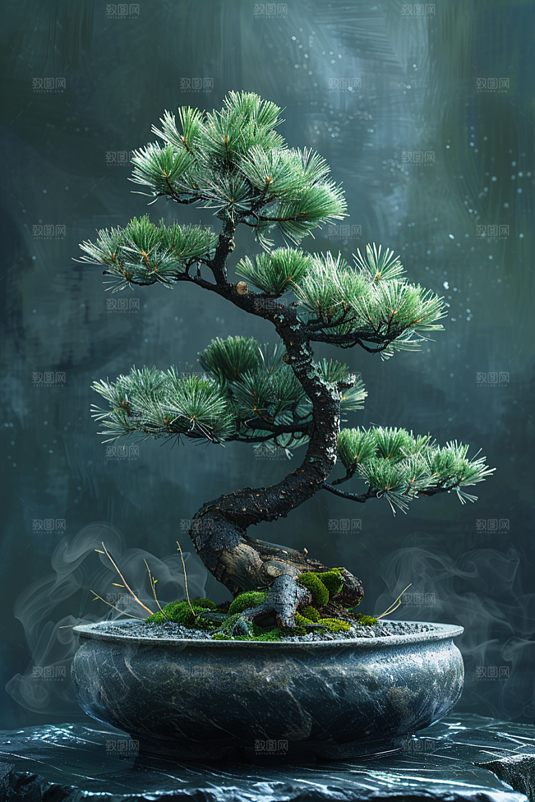 黑松盆景自然日式摄影图
