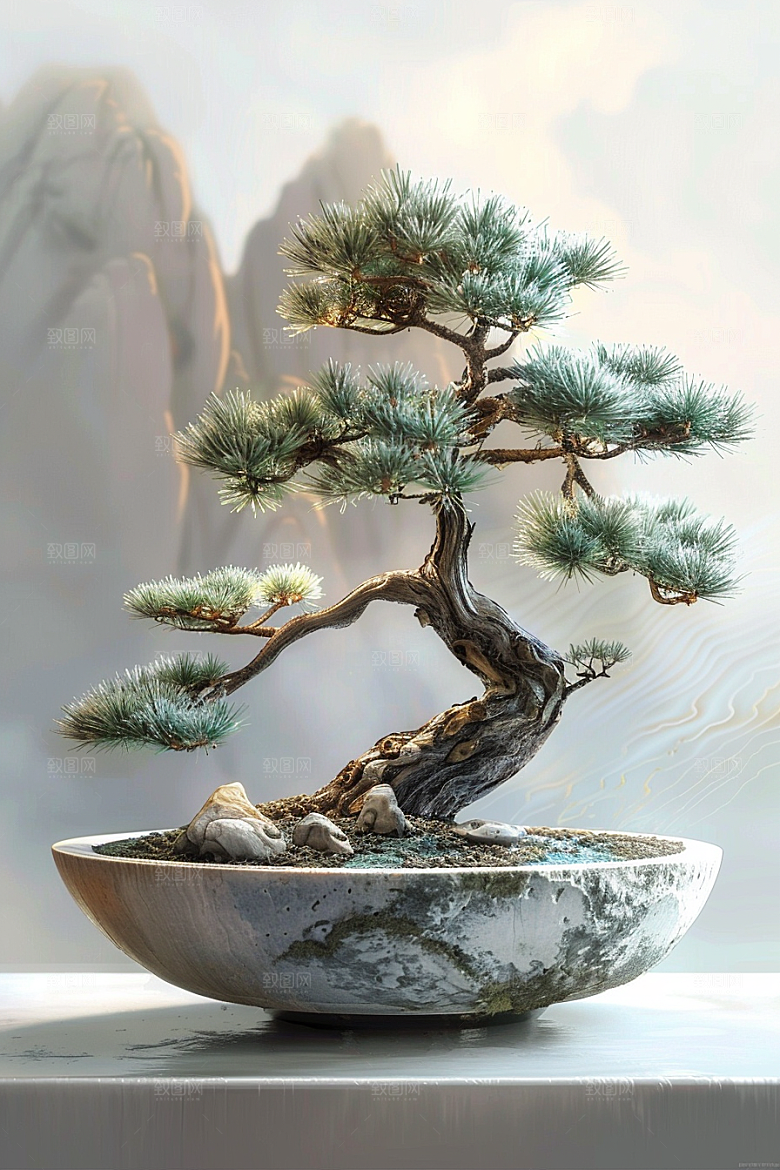 黑松盆景中式自然摄影图