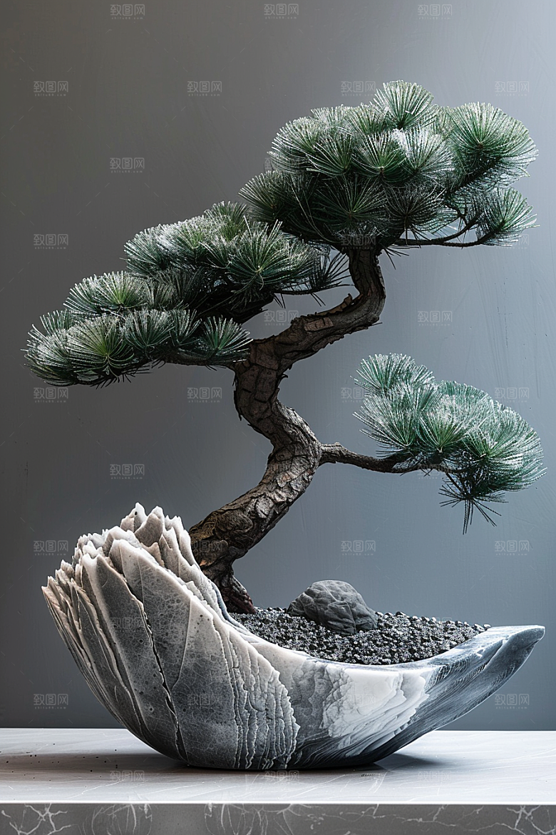 黑松盆景高雅装饰摄影图