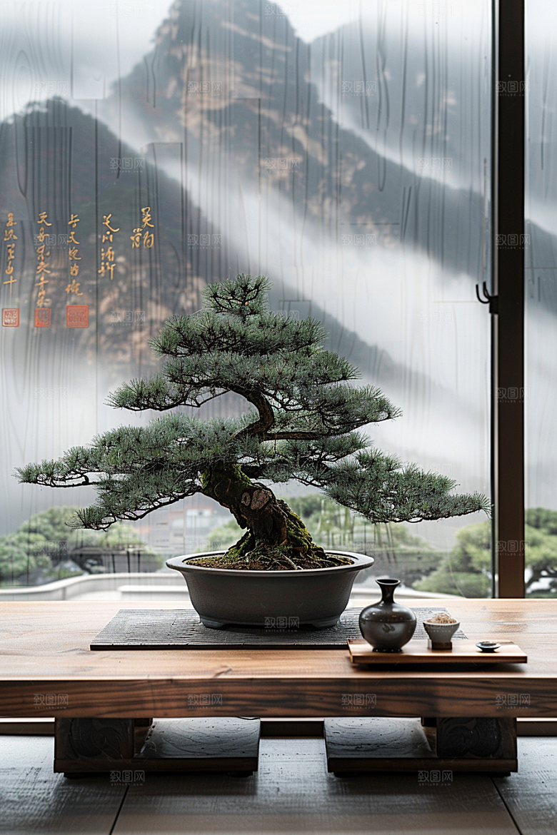 黑松盆景中国风装饰摄影图