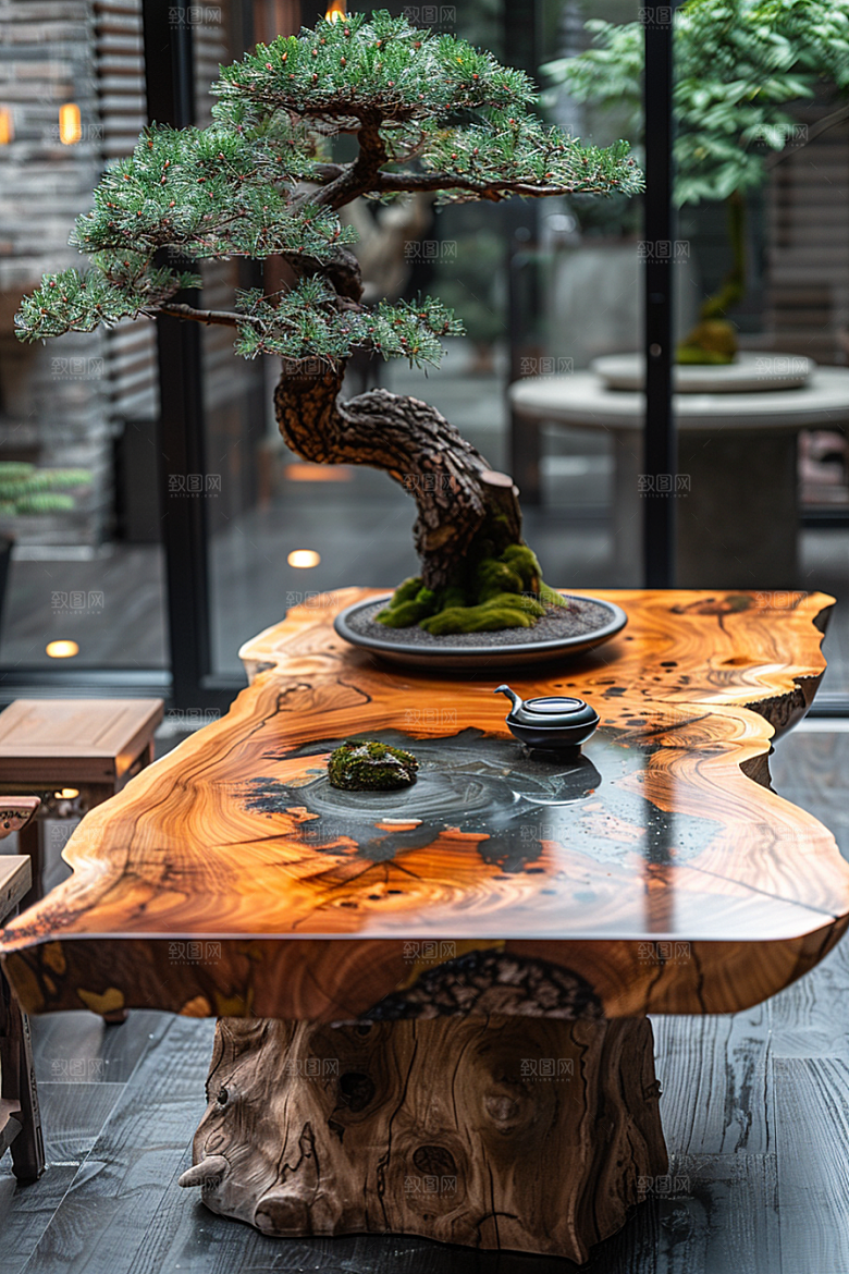 黑松盆景植物中式摄影图