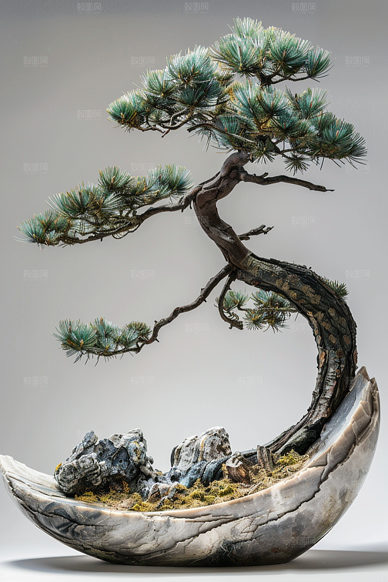 黑松盆景日式高雅摄影图