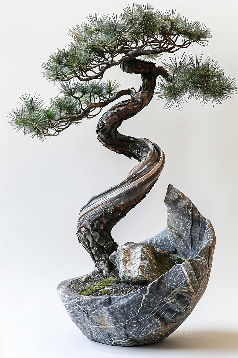 黑松盆景中国风自然摄影图