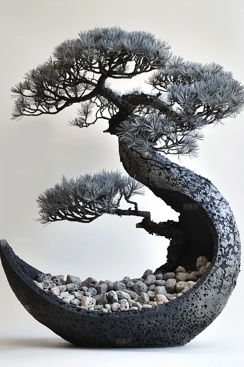 黑松盆景自然优雅摄影图